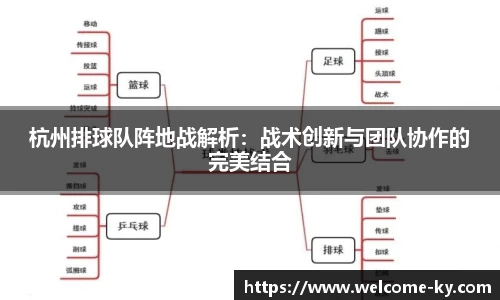 杭州排球队阵地战解析：战术创新与团队协作的完美结合